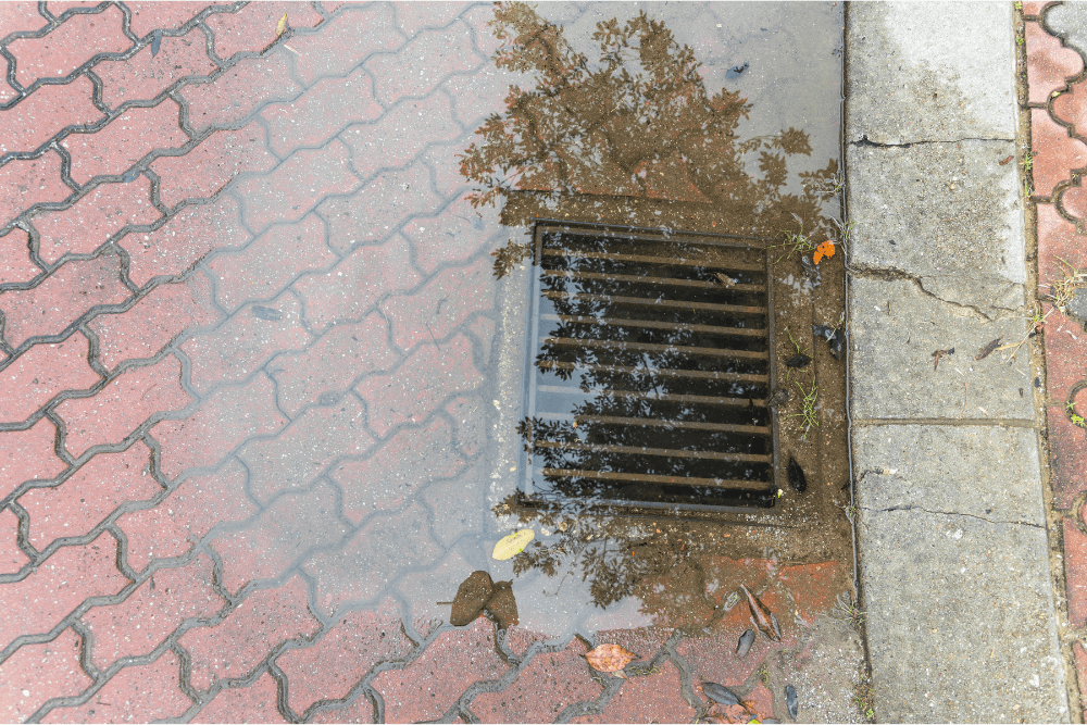 Clogged Drains vs. Sewer Blockages – What's the Difference?